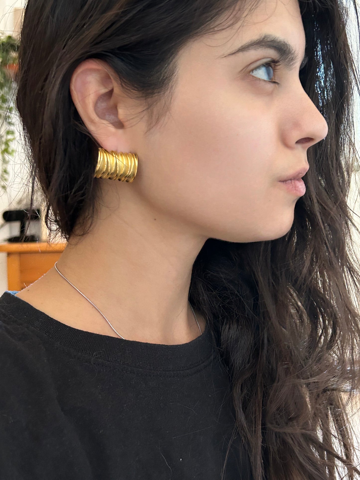 Καρφωτά σκουλαρίκια ιδιαίτερα